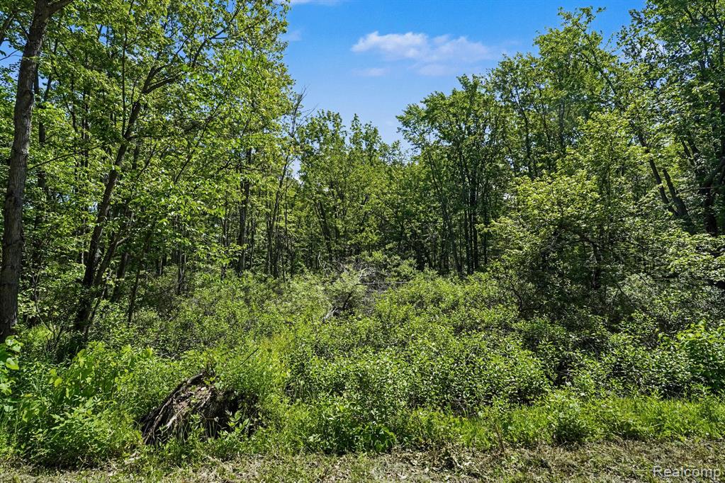 1948 Mayfield Road Lapeer, MI 48446 - Photo 12 of 13