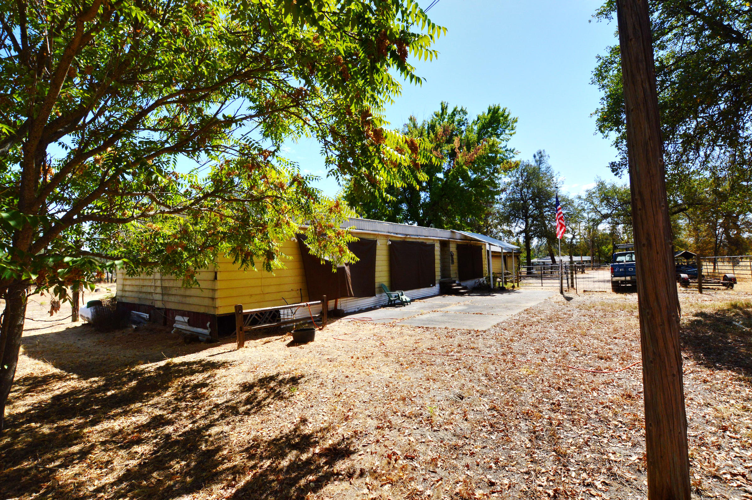 21098 Golden W Road Redding, CA 96003 - Photo 6 of 26 a street view covered with tall trees