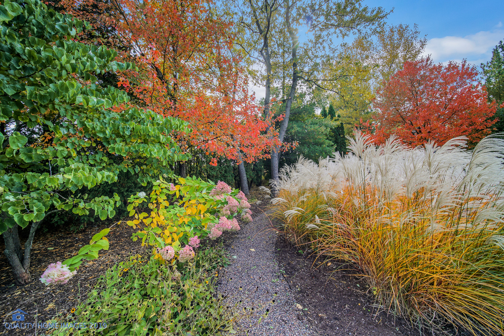 2225 Greenview Road Northbrook, IL 60062 - Photo 63 of 68 a view of a garden with plants and trees