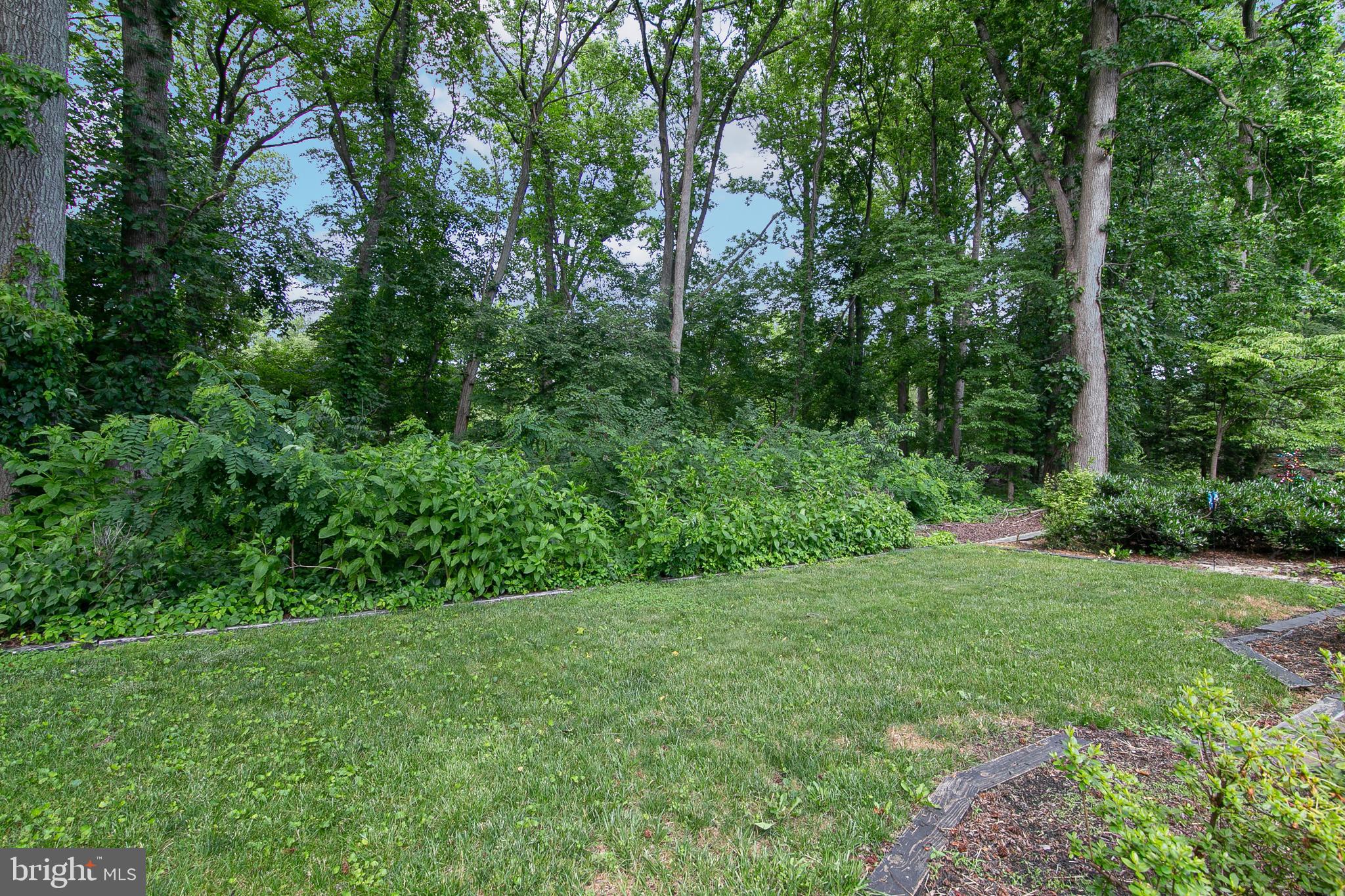 63 Farnwood Road Mount Laurel, NJ 08054 - Photo 35 of 35 Golf course beyond tree buffer
