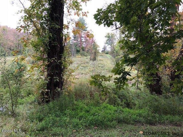 100 Kruger Road Selkirk, NY 12158 - Photo 3 of 4 WhatsApp Image 2025-11-09 at 2.33.10 AM