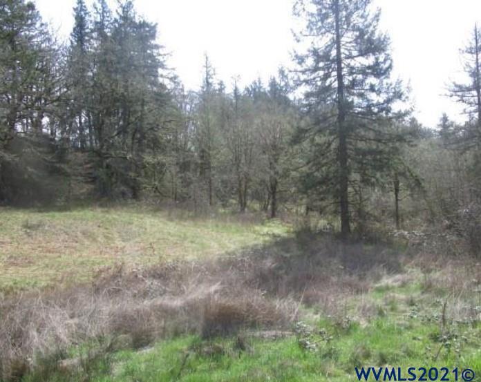 3205 Brush College Road Northwest Salem, OR 97304 - Photo 9 of 9