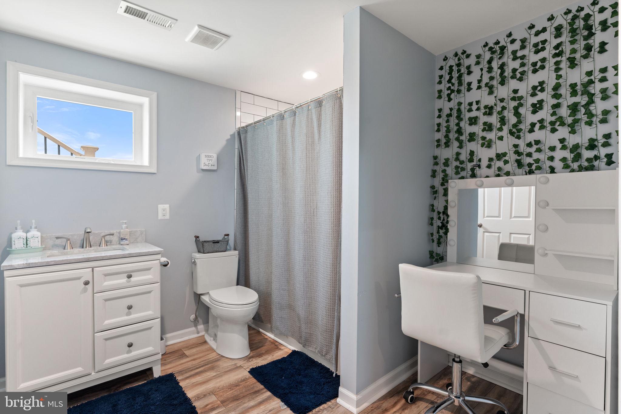 1388 Novum Church Road Reva, VA 22735 - Photo 43 of 65 a bathroom with a sink toilet and a mirror