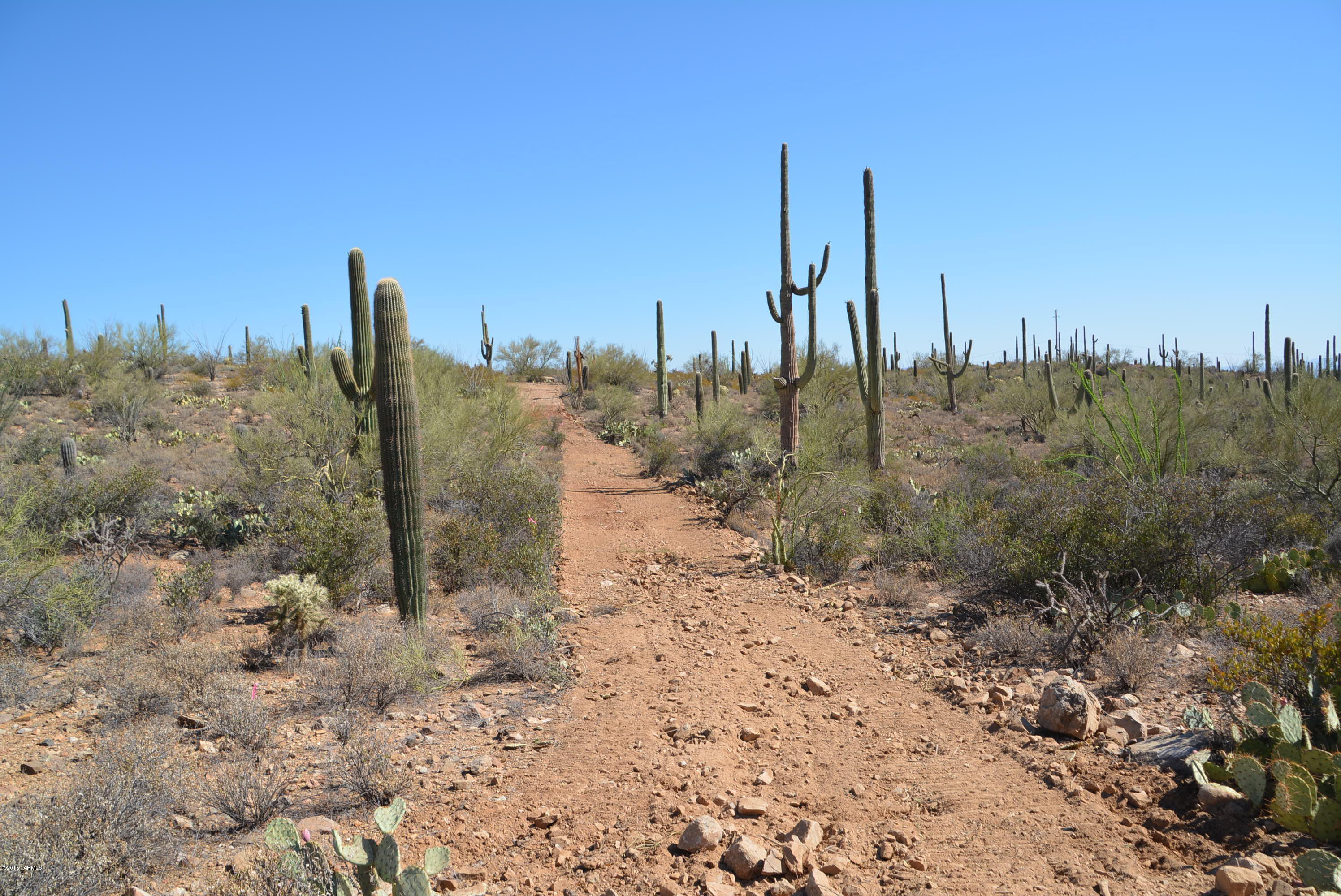 0 Broken Spring Tucson, AZ 85745 - Photo 3 of 24