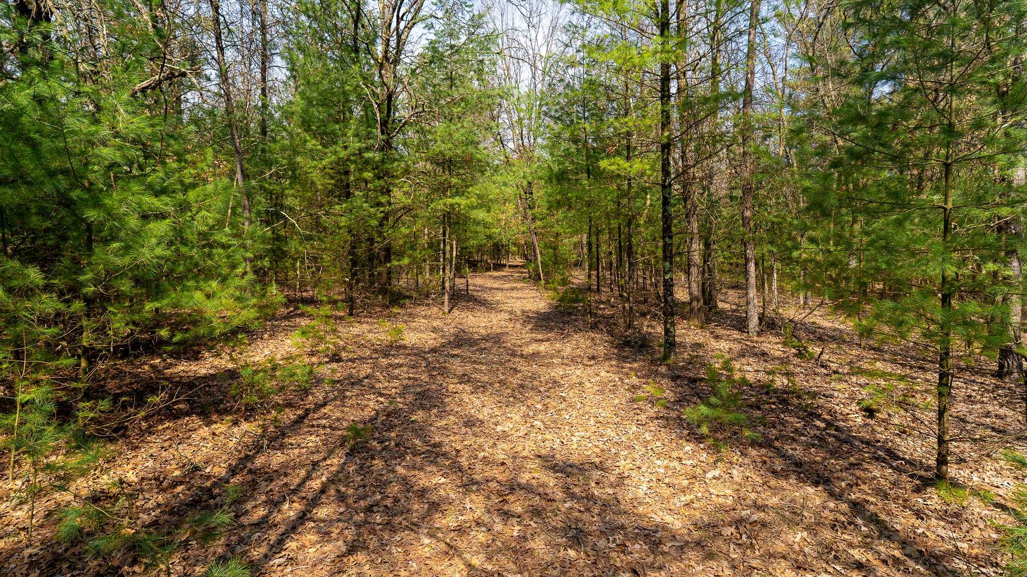 Lot 2-43 Ac Dover Adams, WI 53910 - Photo 13 of 32