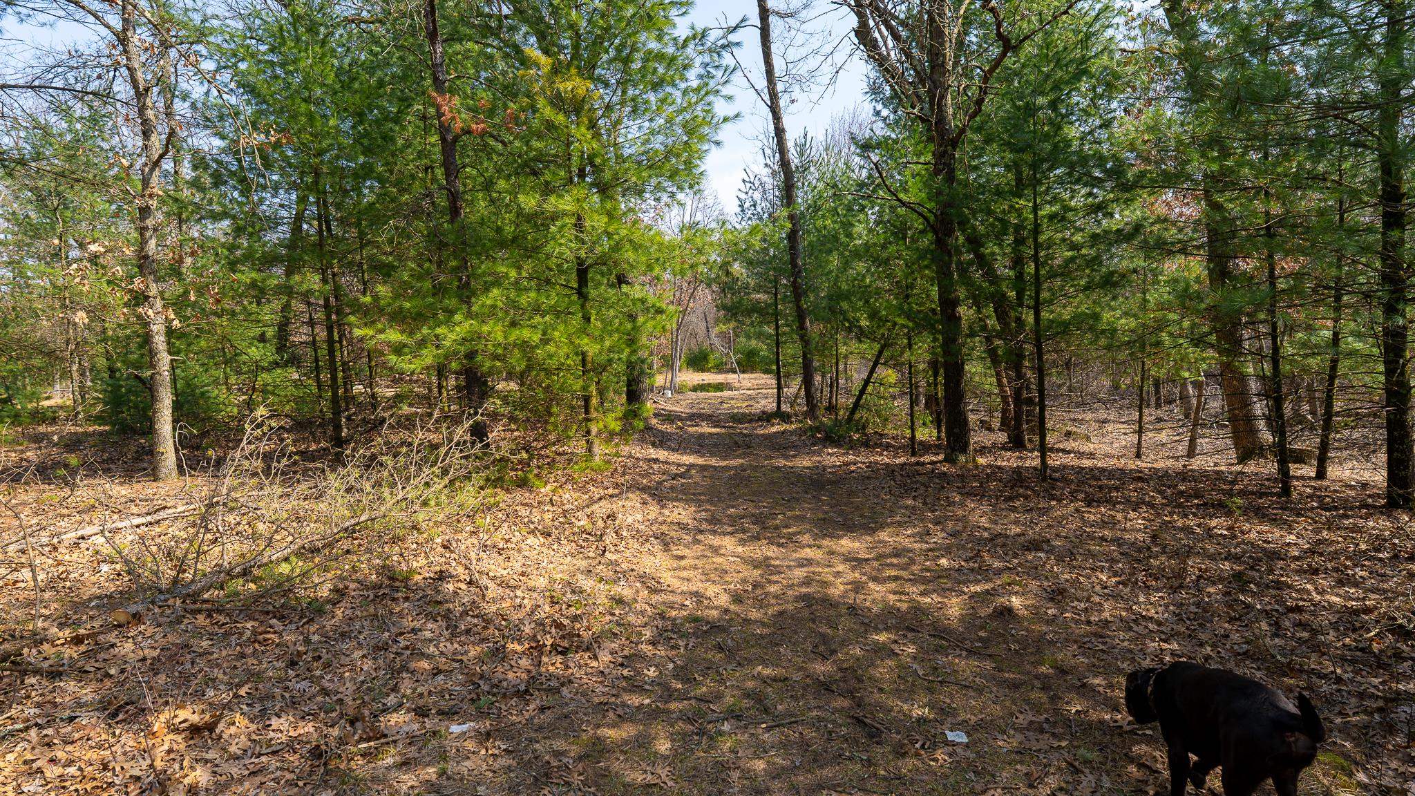 Lot 2-43 Ac Dover Adams, WI 53910 - Photo 14 of 32