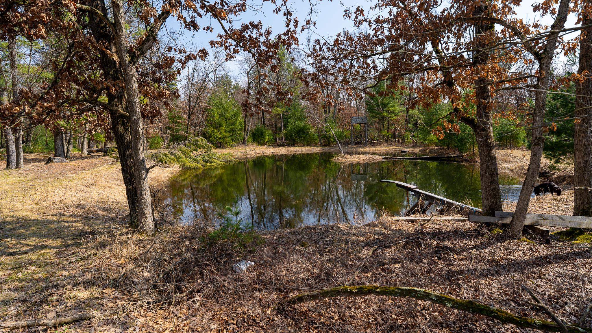 Lot 2-43 Ac Dover Adams, WI 53910 - Photo 15 of 32