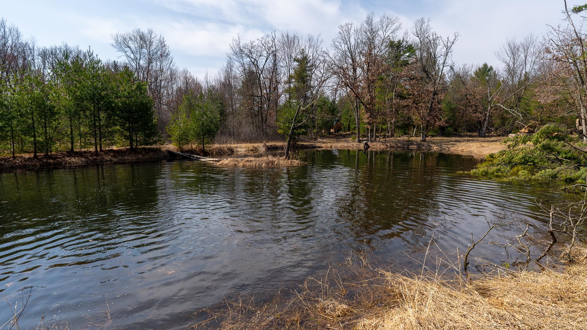 Lot 2-43 Ac Dover Adams, WI 53910 - Photo 16 of 32