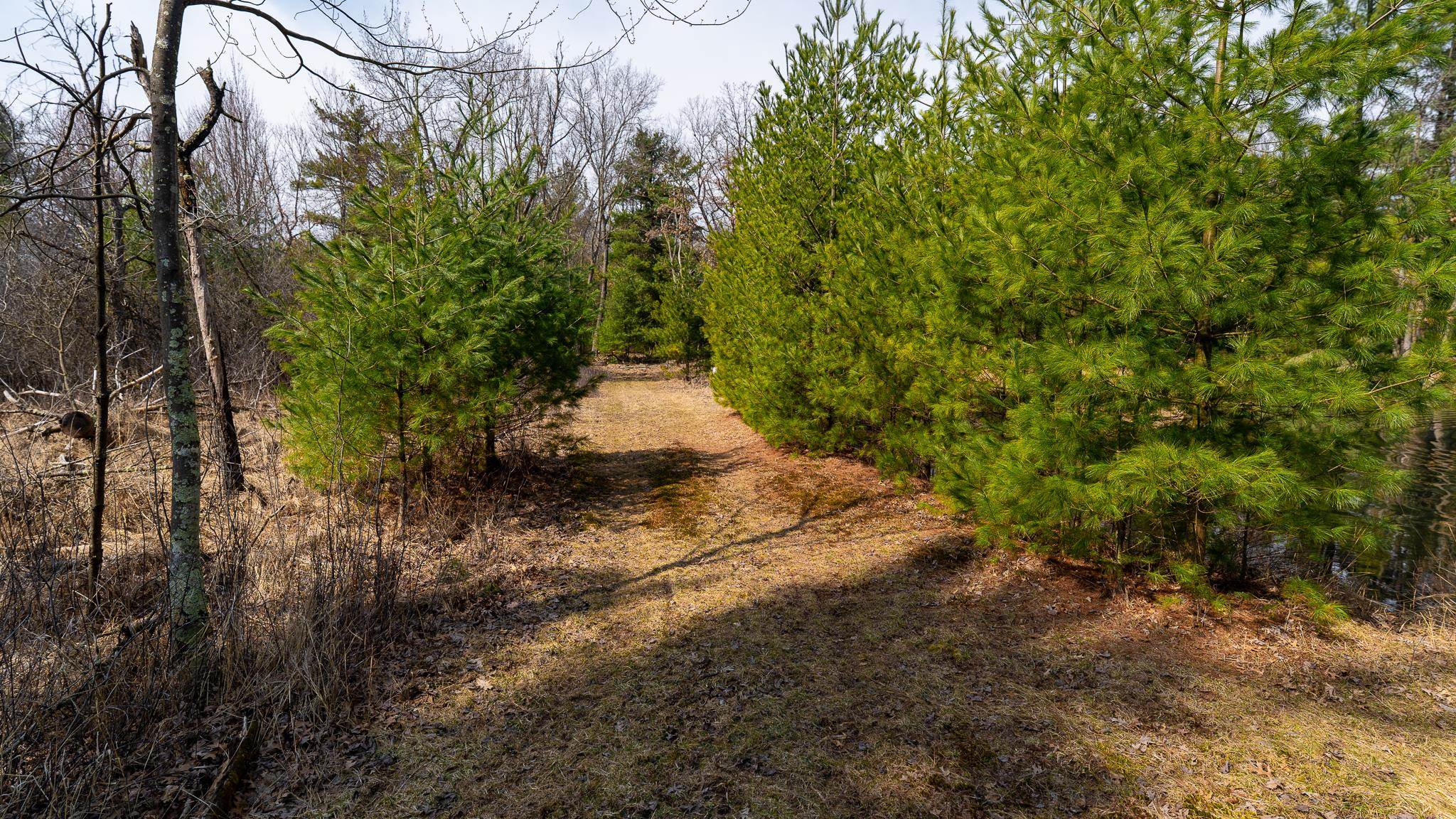 Lot 2-43 Ac Dover Adams, WI 53910 - Photo 18 of 32