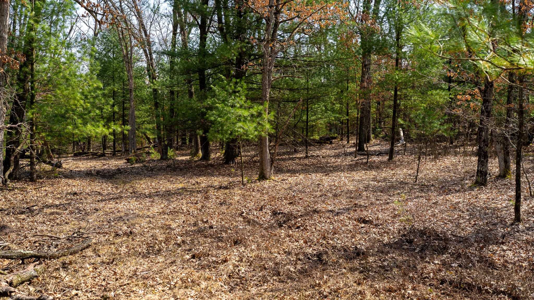 Lot 2-43 Ac Dover Adams, WI 53910 - Photo 19 of 32