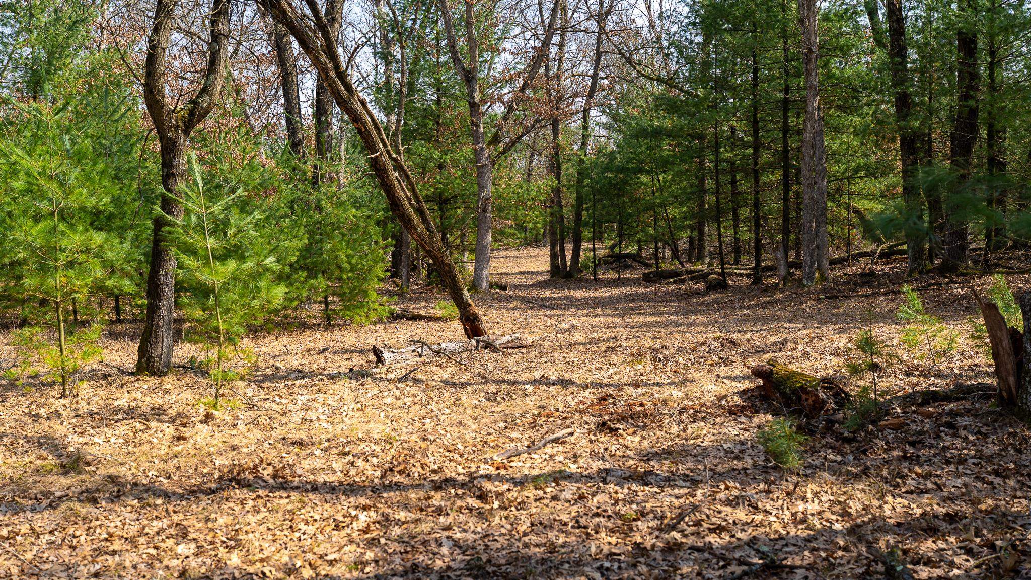 Lot 2-43 Ac Dover Adams, WI 53910 - Photo 20 of 32