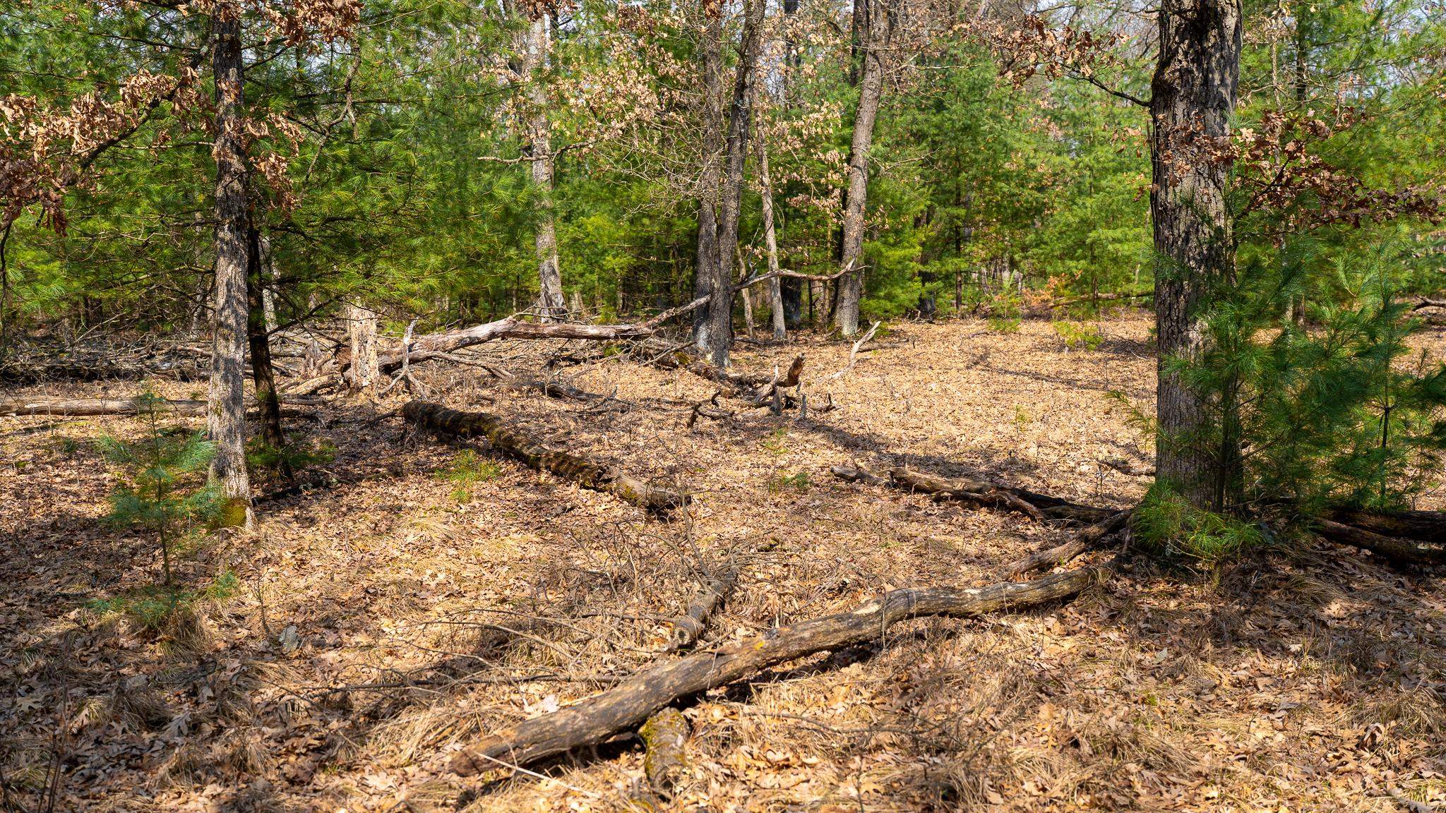 Lot 2-43 Ac Dover Adams, WI 53910 - Photo 21 of 32
