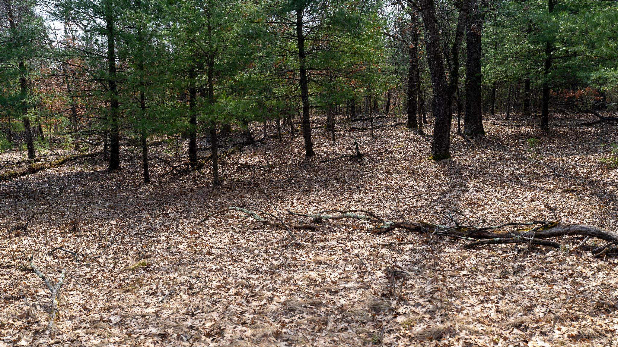 Lot 2-43 Ac Dover Adams, WI 53910 - Photo 22 of 32