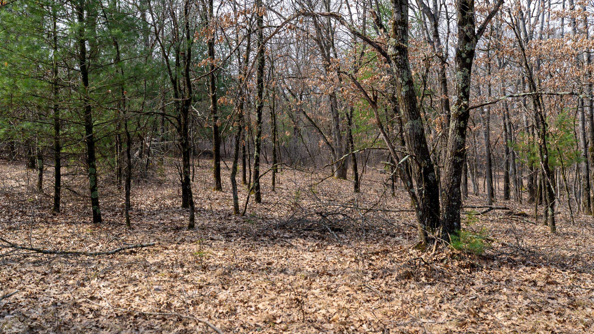 Lot 2-43 Ac Dover Adams, WI 53910 - Photo 23 of 32