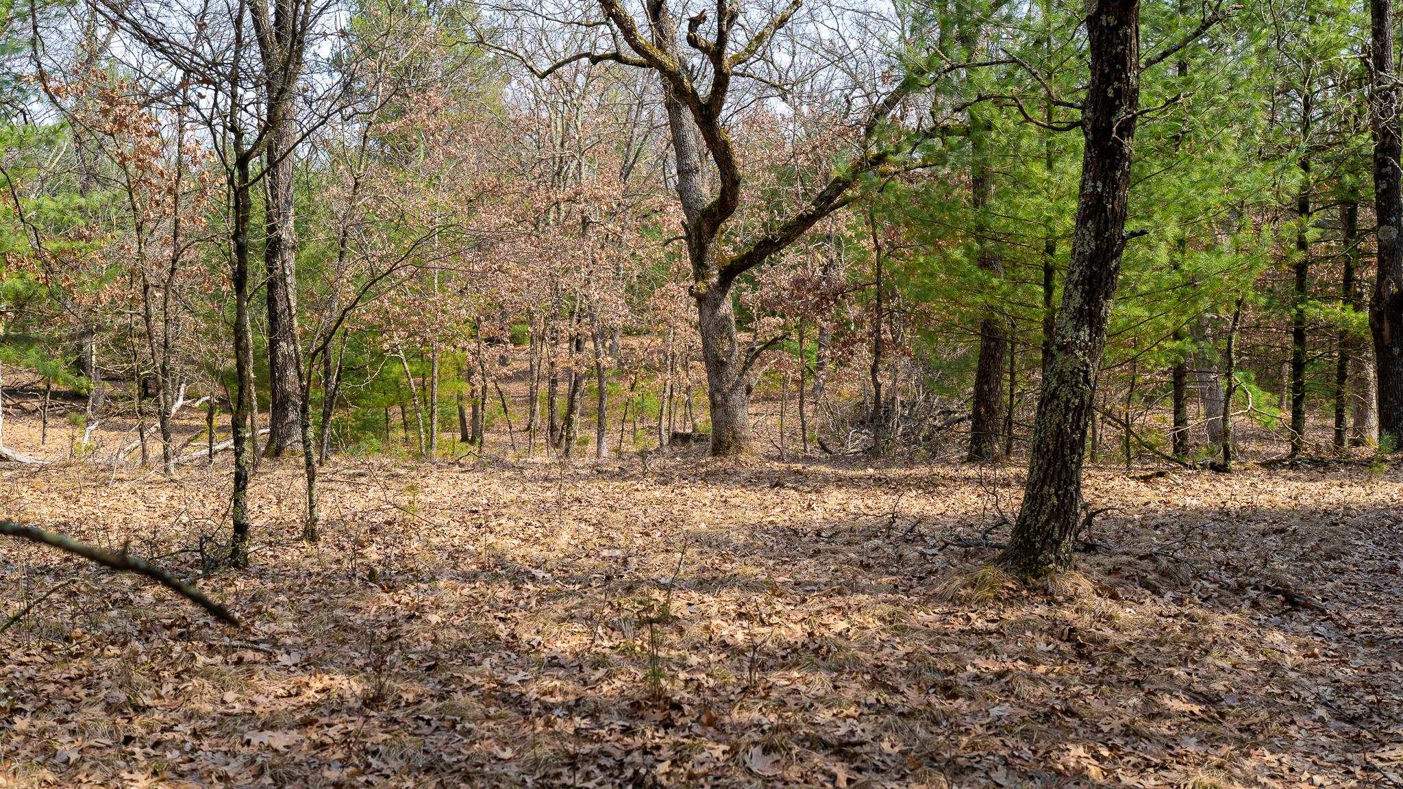 Lot 2-43 Ac Dover Adams, WI 53910 - Photo 25 of 32