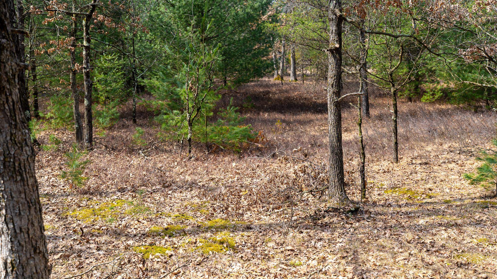 Lot 2-43 Ac Dover Adams, WI 53910 - Photo 26 of 32