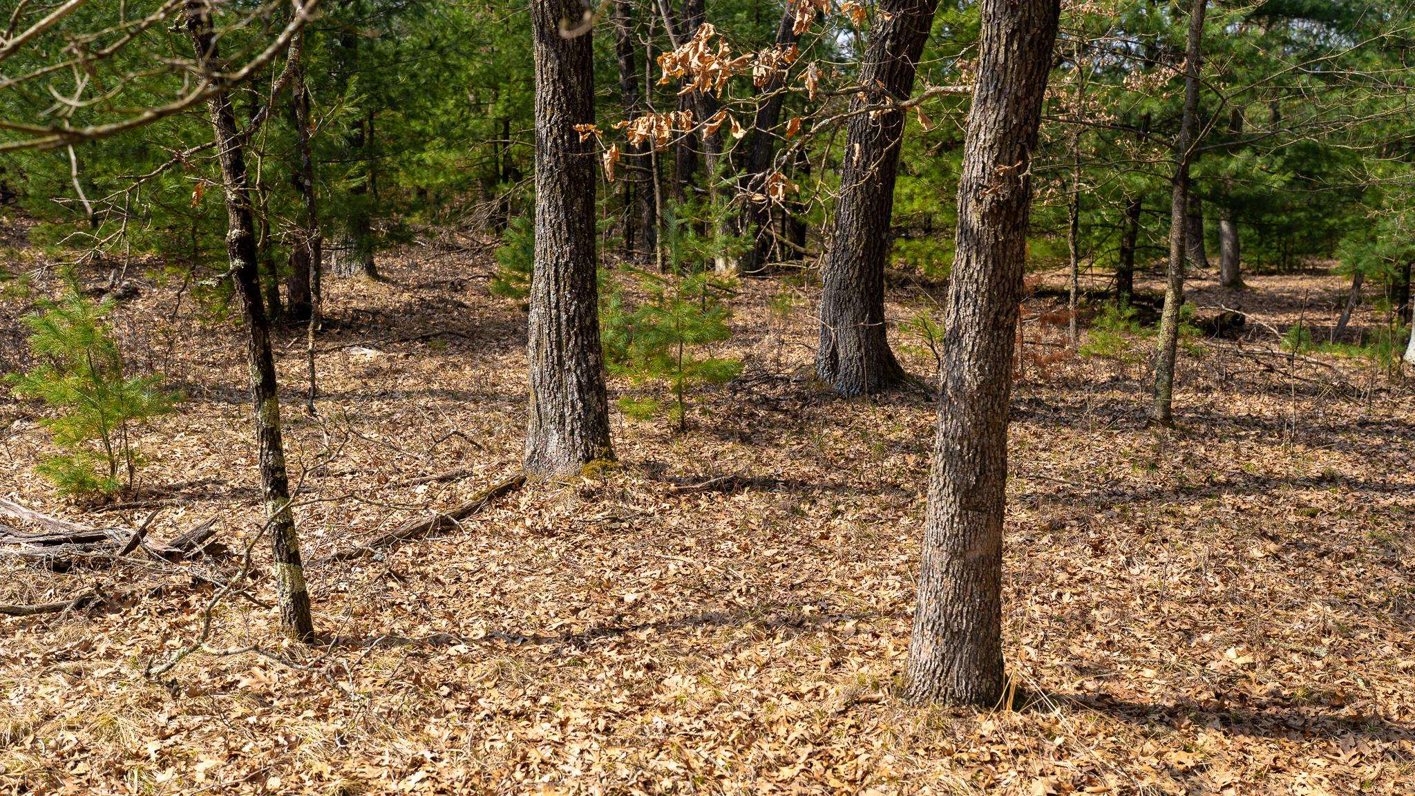 Lot 2-43 Ac Dover Adams, WI 53910 - Photo 27 of 32