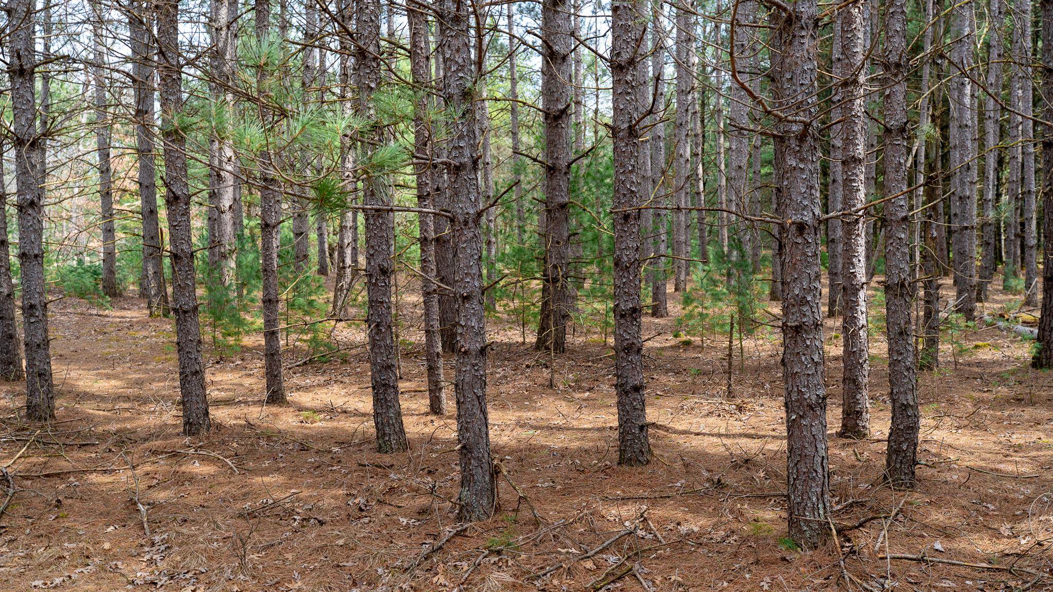 Lot 2-43 Ac Dover Adams, WI 53910 - Photo 30 of 32