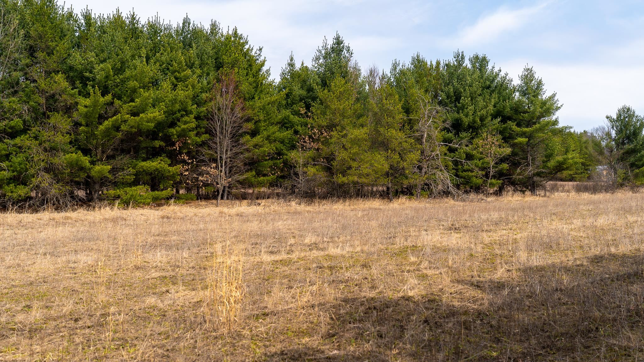 Lot 2-43 Ac Dover Adams, WI 53910 - Photo 31 of 32