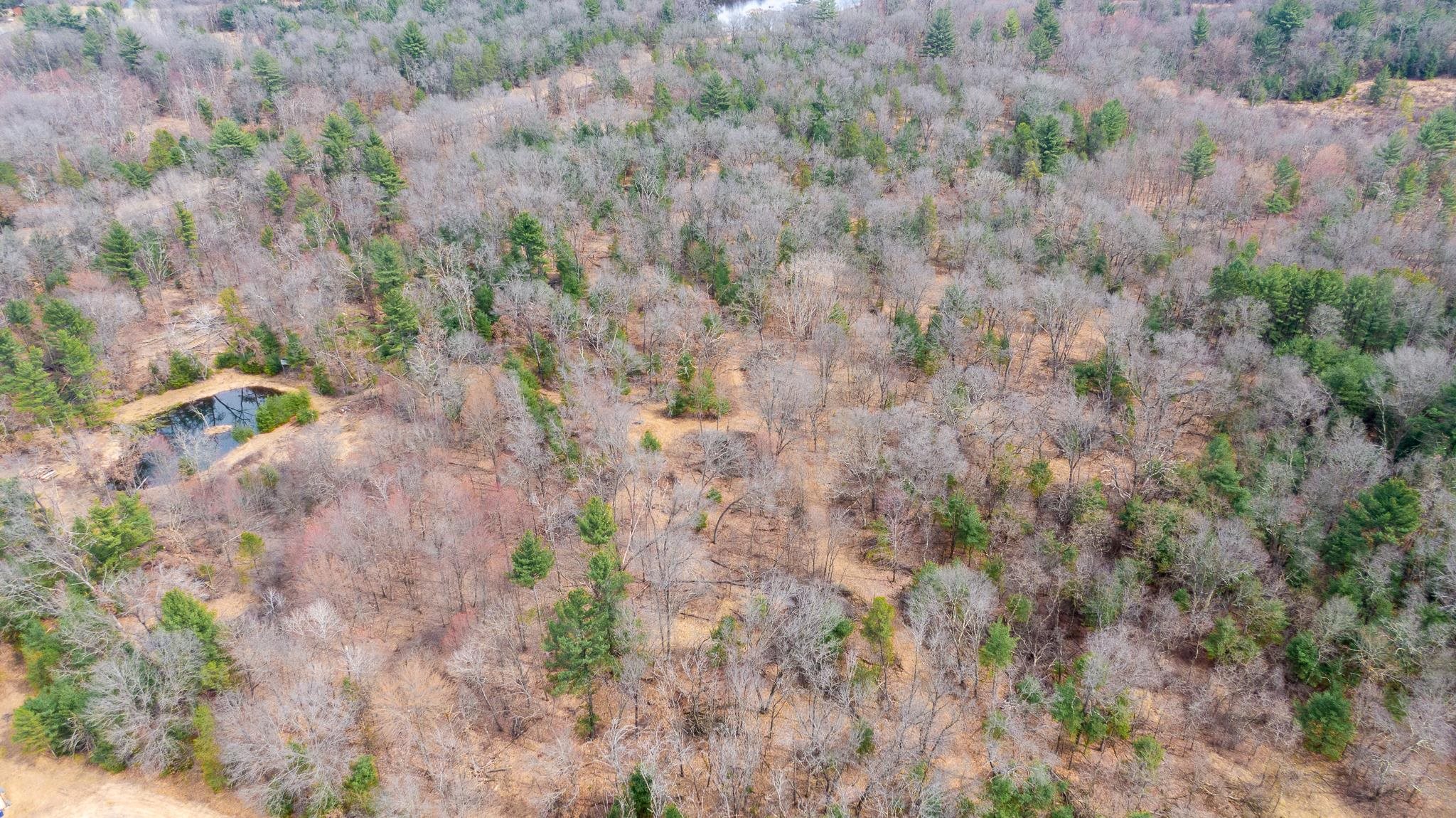 Lot 2-43 Ac Dover Adams, WI 53910 - Photo 4 of 32