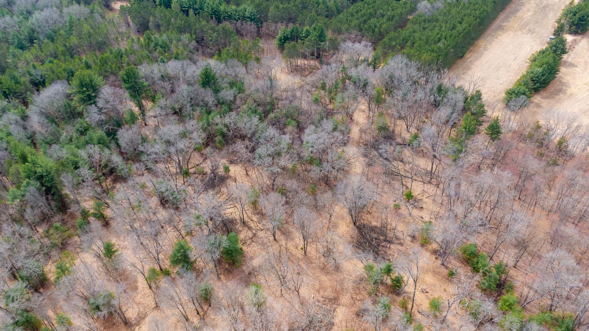 Lot 2-43 Ac Dover Adams, WI 53910 - Photo 7 of 32