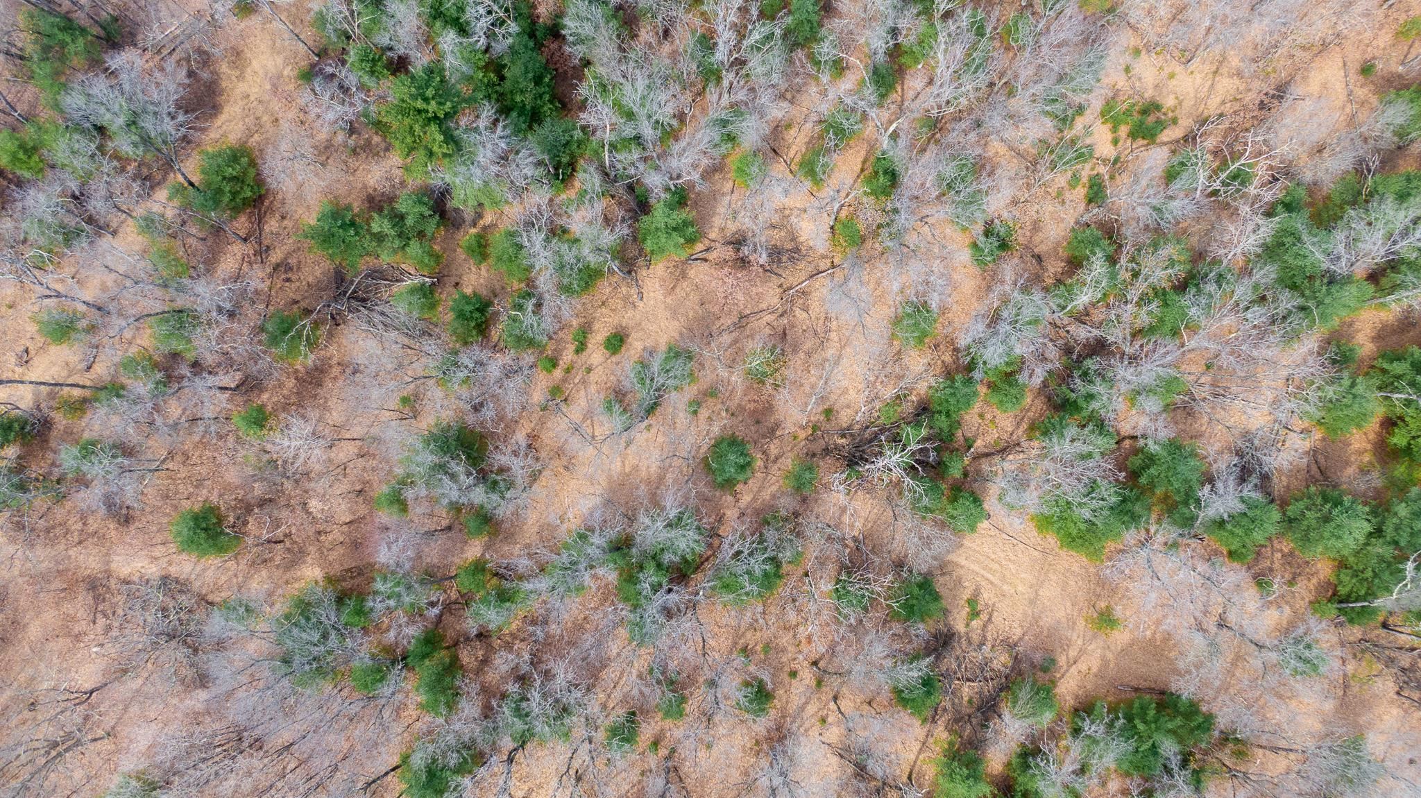 Lot 2-43 Ac Dover Adams, WI 53910 - Photo 8 of 32