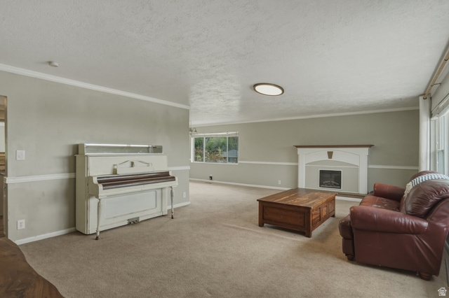 500 North 800 East Springville, UT 84663 - Photo 6 of 51 Living area featuring light carpet, a glass covered fireplace, a textured ceiling, and ornamental molding