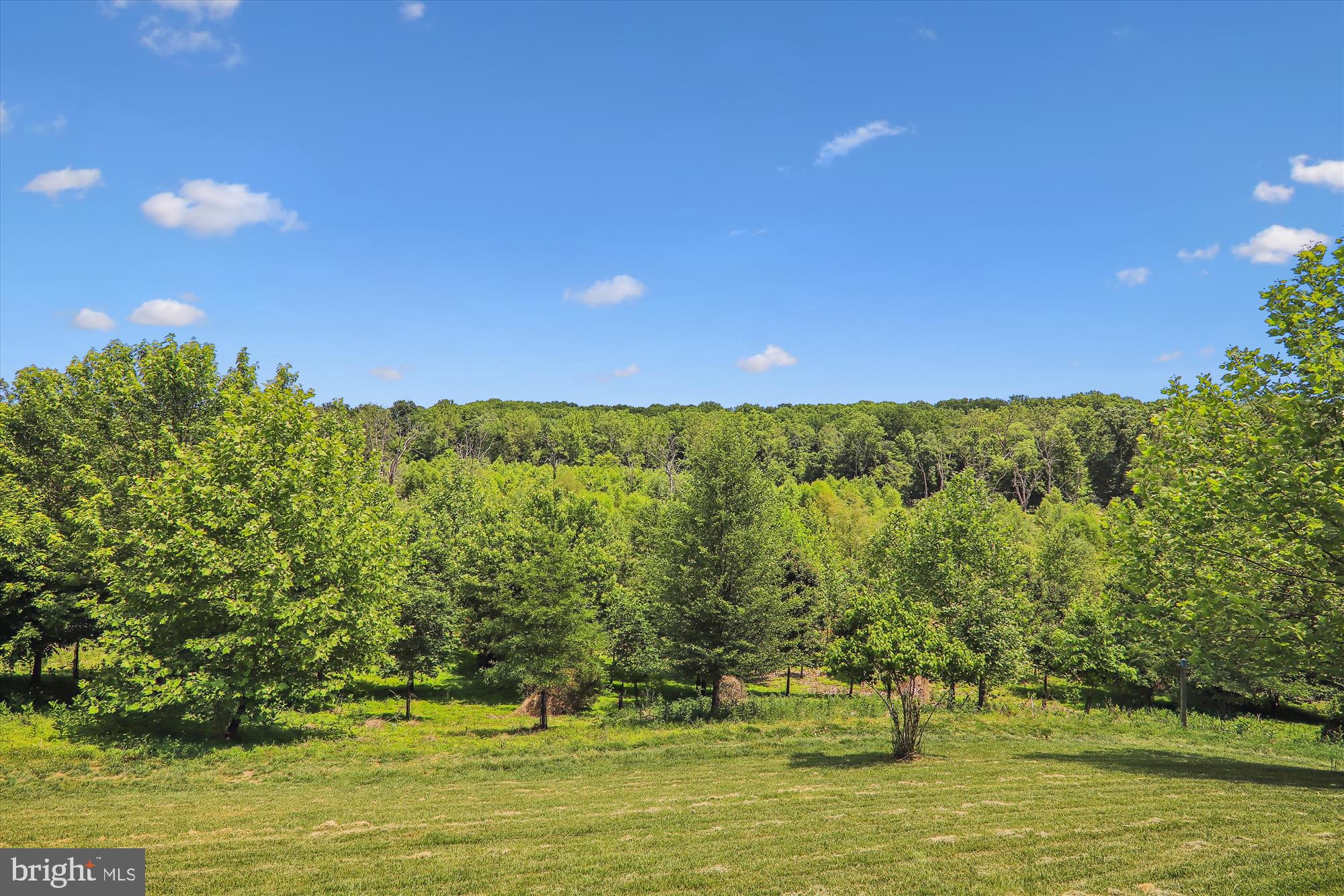 13327 Redspire Drive Silver Spring, MD 20906 - Photo 56 of 90 SPECTACULAR VIEWS!