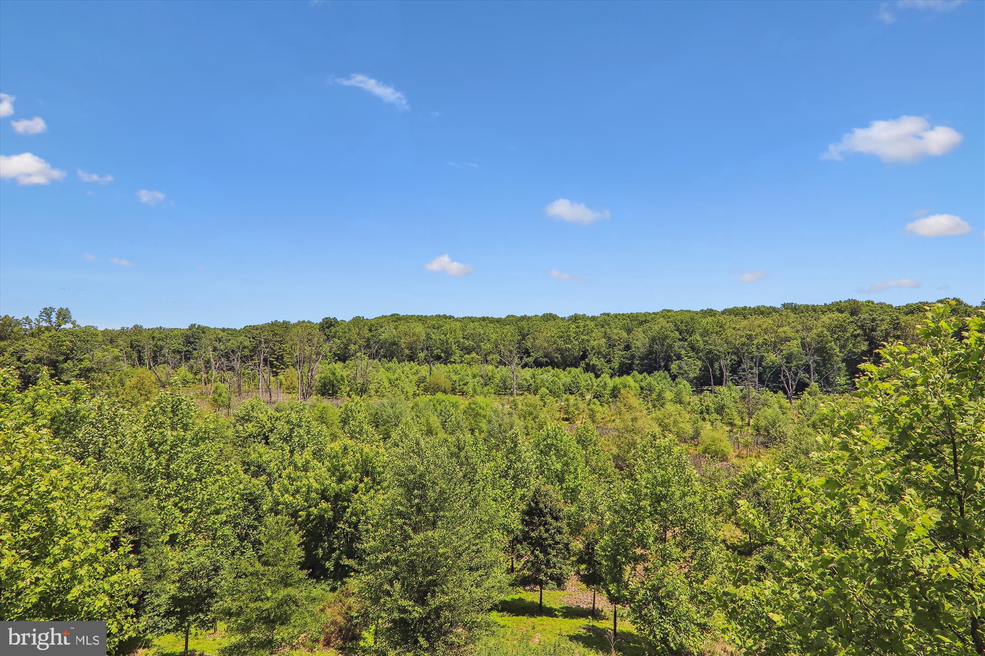 13327 Redspire Drive Silver Spring, MD 20906 - Photo 57 of 90 Nature preserve as far as the eye can see!