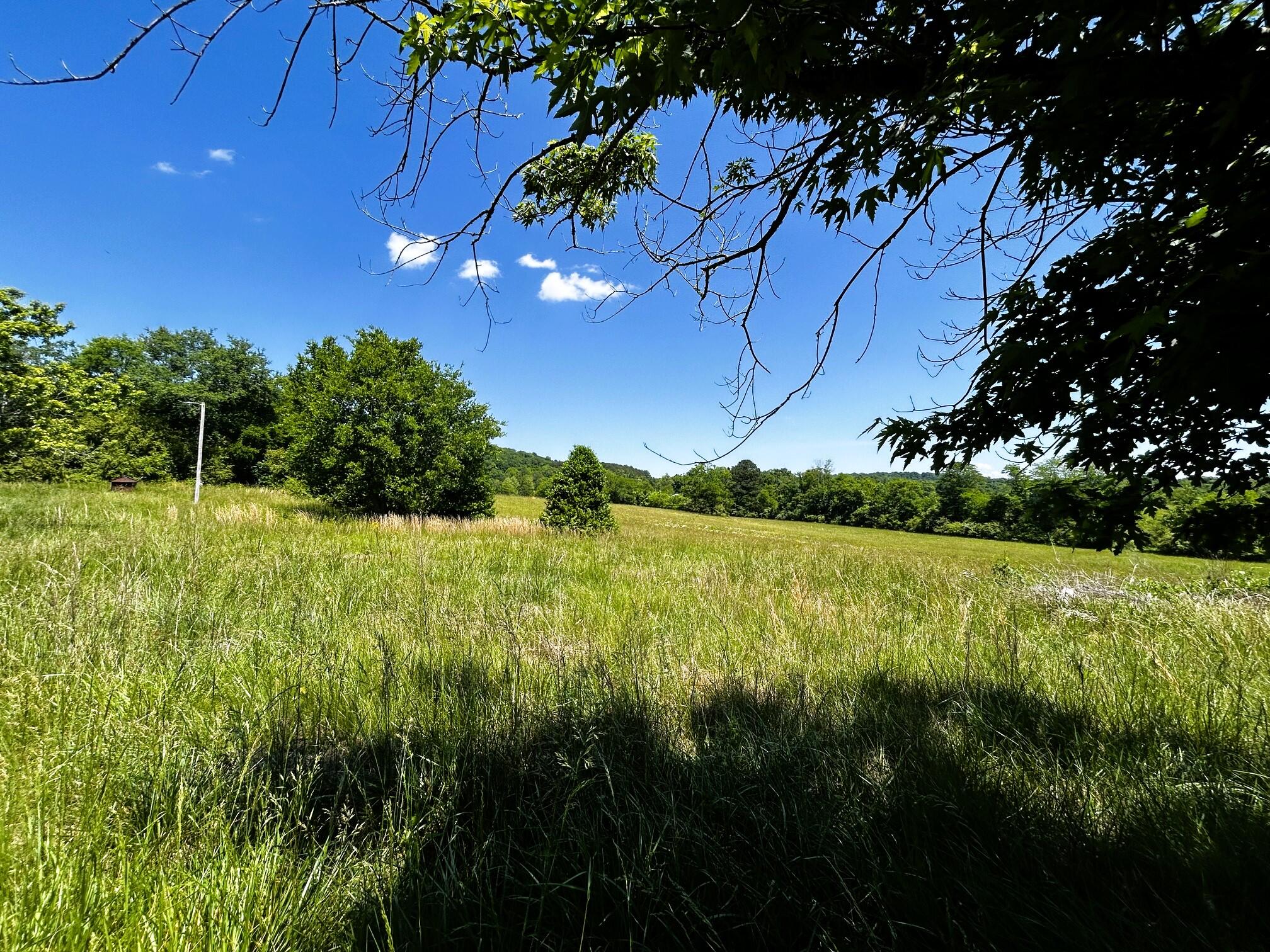 573 South Judd Road Decatur, TN 37322 - Photo 21 of 37 Judd 10