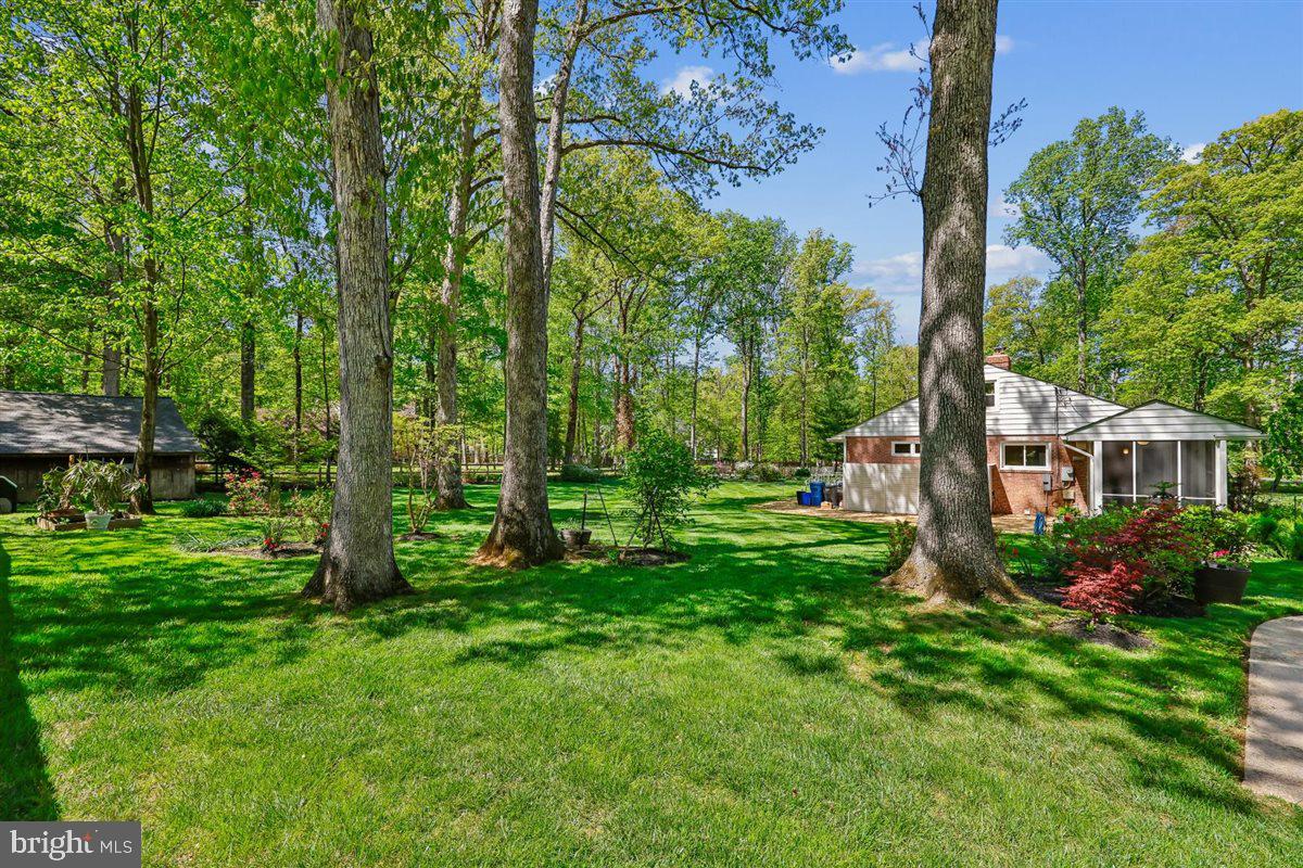 4318 Pinetree Road Rockville, MD 20853 - Photo 102 of 108