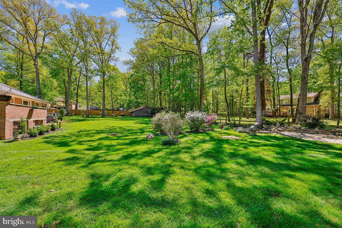 4318 Pinetree Road Rockville, MD 20853 - Photo 106 of 130