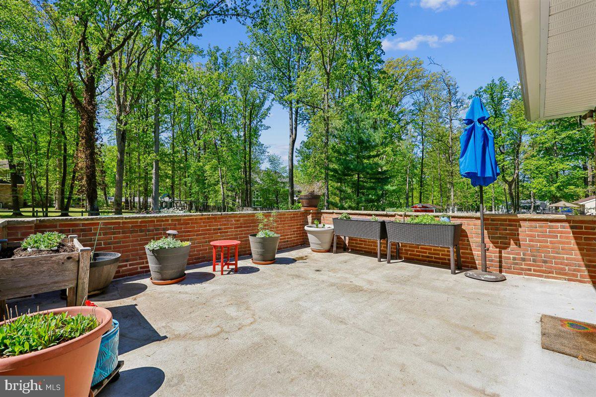 4318 Pinetree Road Rockville, MD 20853 - Photo 110 of 130