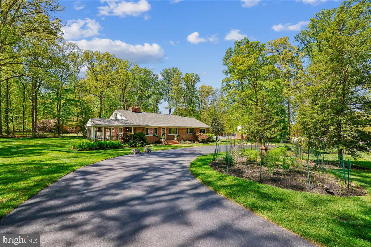 4318 Pinetree Road Rockville, MD 20853 - Photo 11 of 130