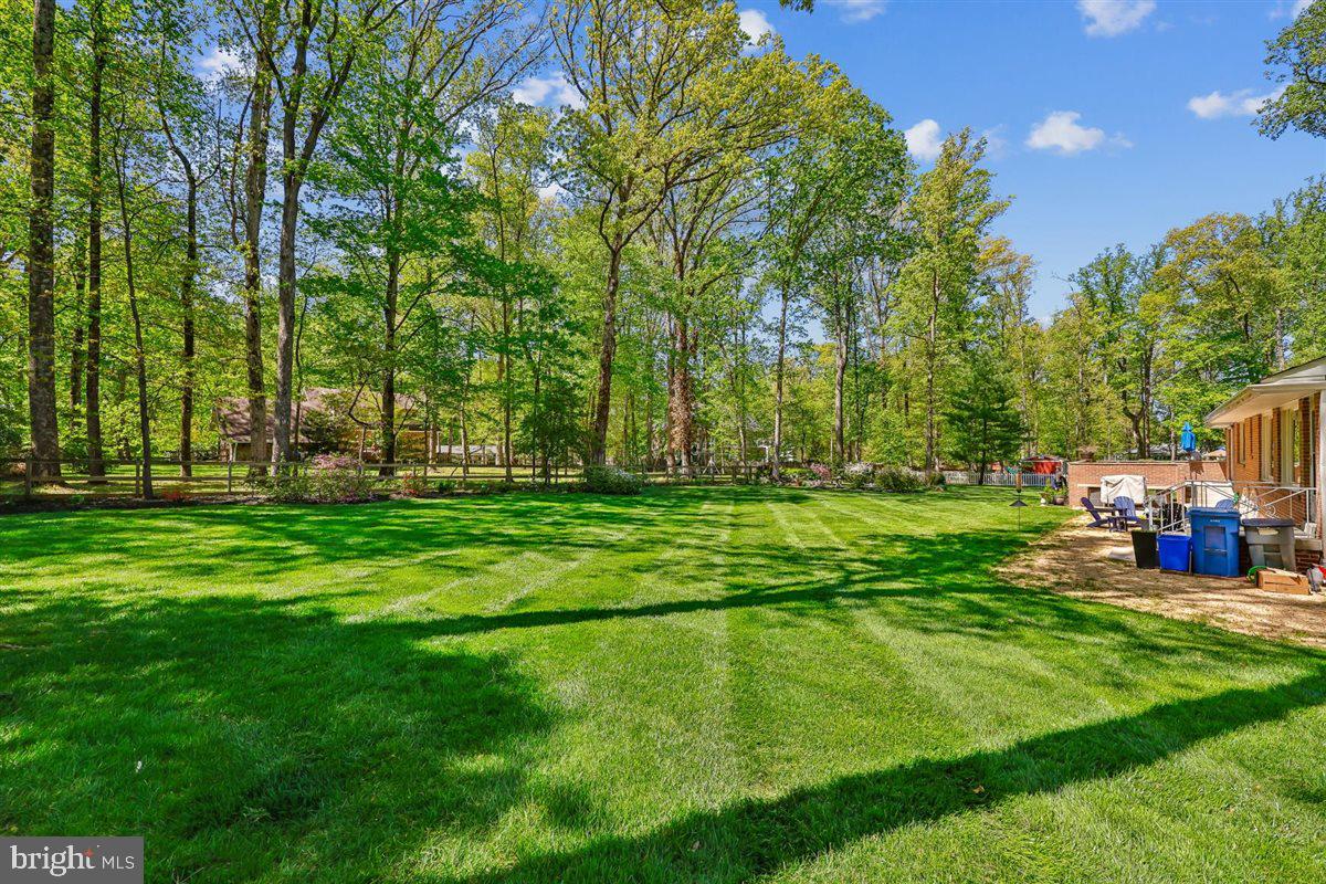 4318 Pinetree Road Rockville, MD 20853 - Photo 119 of 130