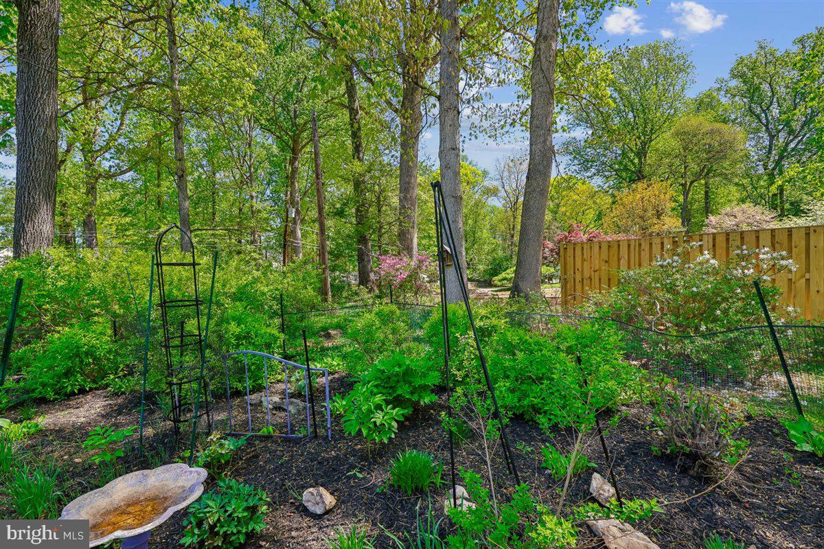 4318 Pinetree Road Rockville, MD 20853 - Photo 123 of 130
