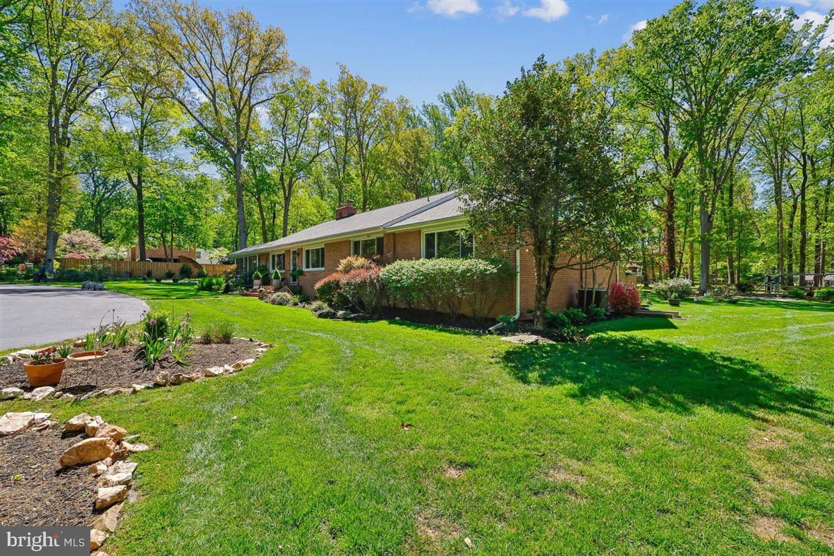 4318 Pinetree Road Rockville, MD 20853 - Photo 128 of 130 a view of a backyard with large trees