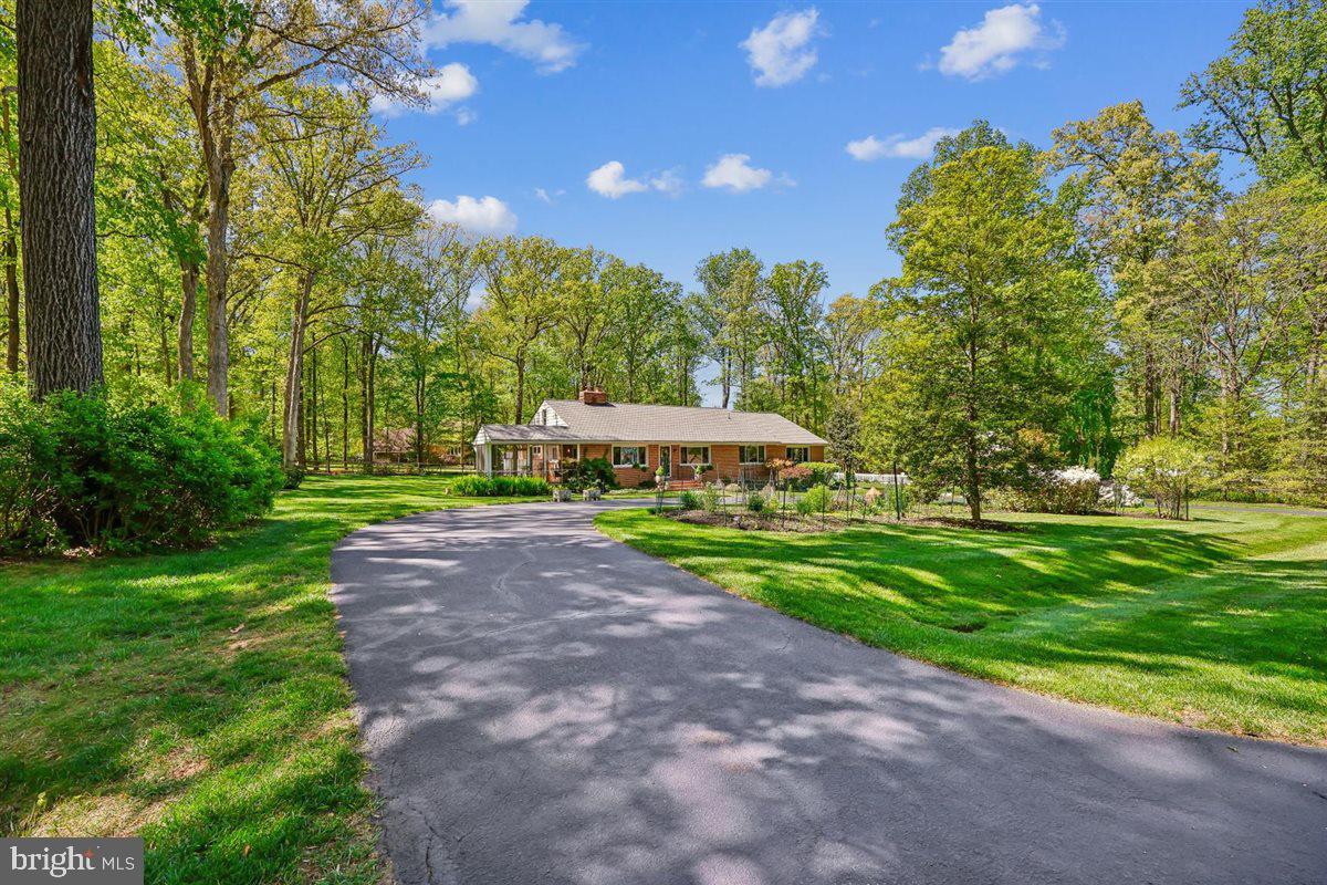 4318 Pinetree Road Rockville, MD 20853 - Photo 14 of 130