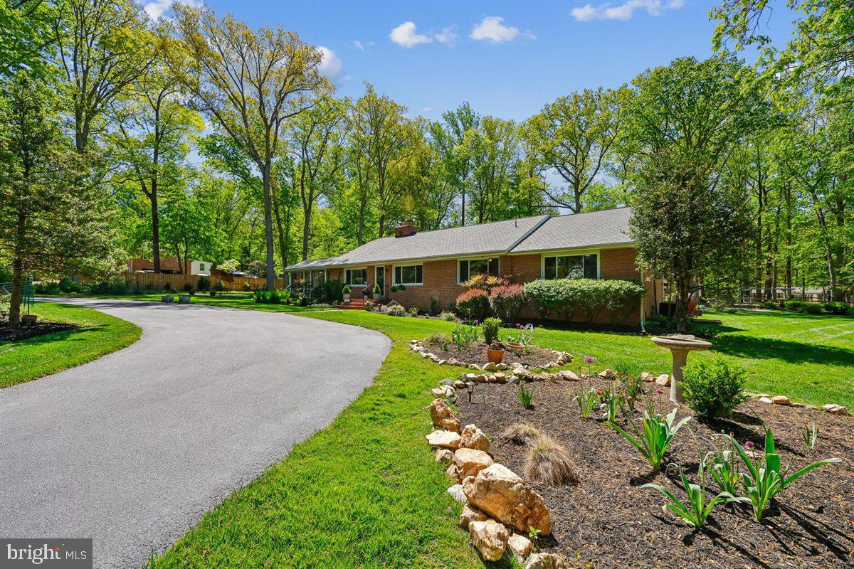 4318 Pinetree Road Rockville, MD 20853 - Photo 3 of 130