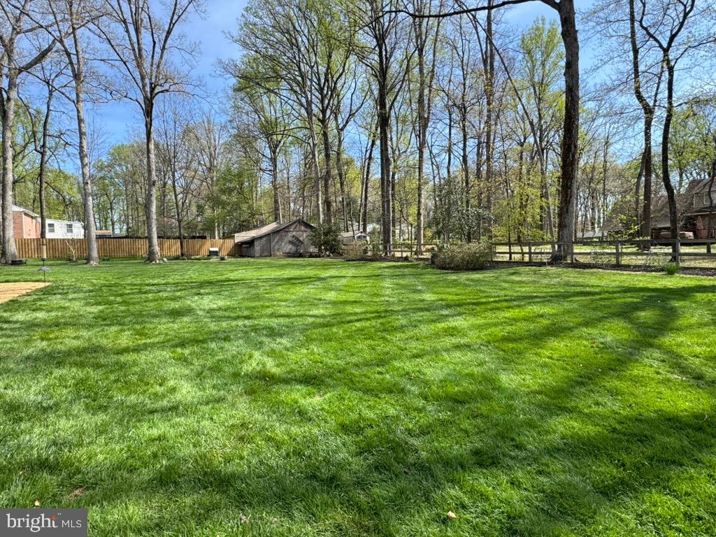 4318 Pinetree Road Rockville, MD 20853 - Photo 35 of 130 a view of a park with large trees