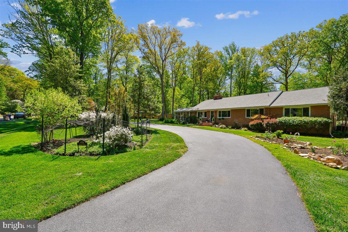 4318 Pinetree Road Rockville, MD 20853 - Photo 5 of 130 a front view of a house with a yard and trees