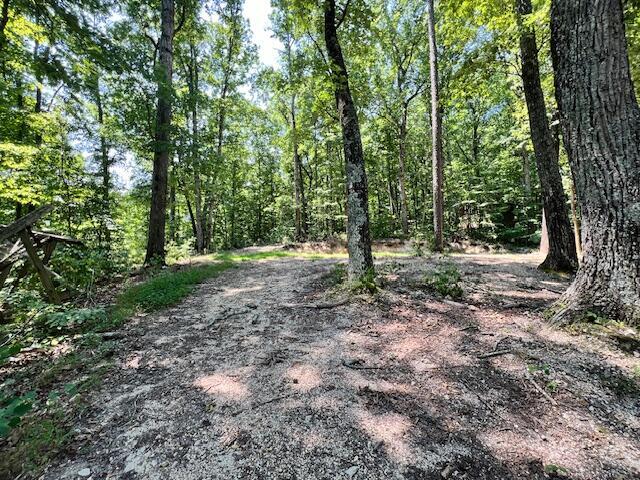 322 Baggett Road Ringgold, GA 30736 - Photo 15 of 18 IMG_1932