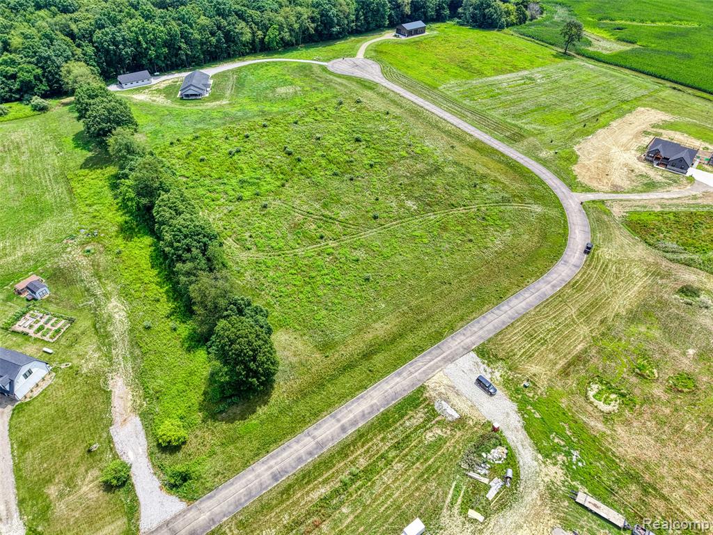0 Gregory Ridge Road Fowlerville, MI 48836 - Photo 8 of 24 Gallery Image 8