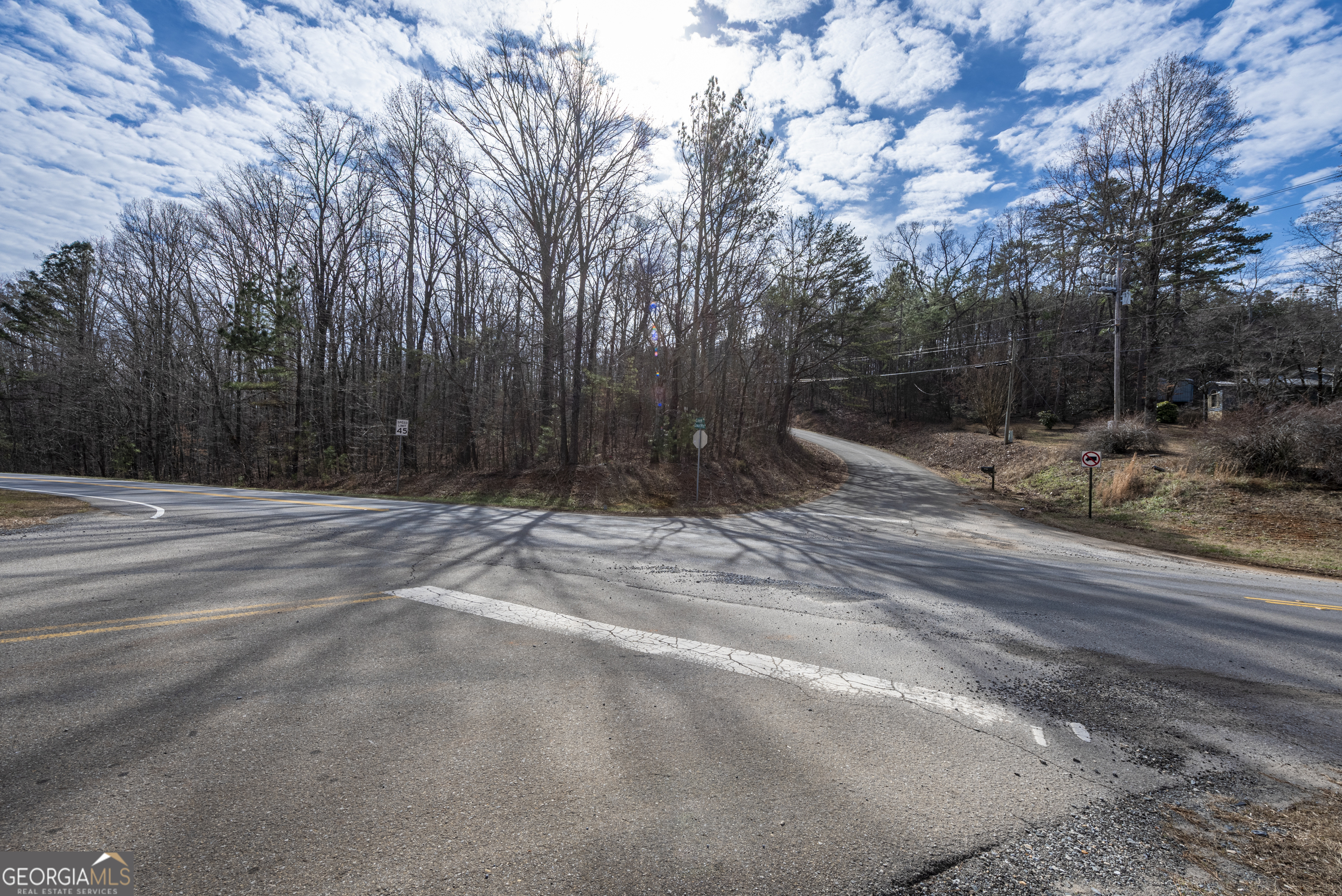 0 Cowart Mountain Tract 2 Road Jasper, GA 30143 - Photo 15 of 19