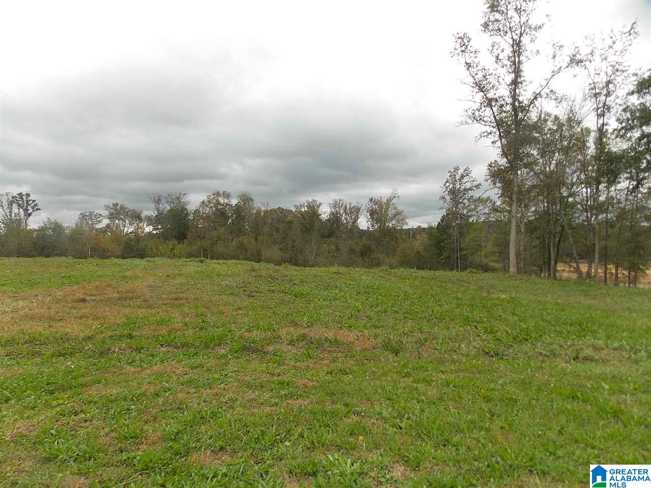44 Sage Road Altoona, AL 35952 - Photo 25 of 29