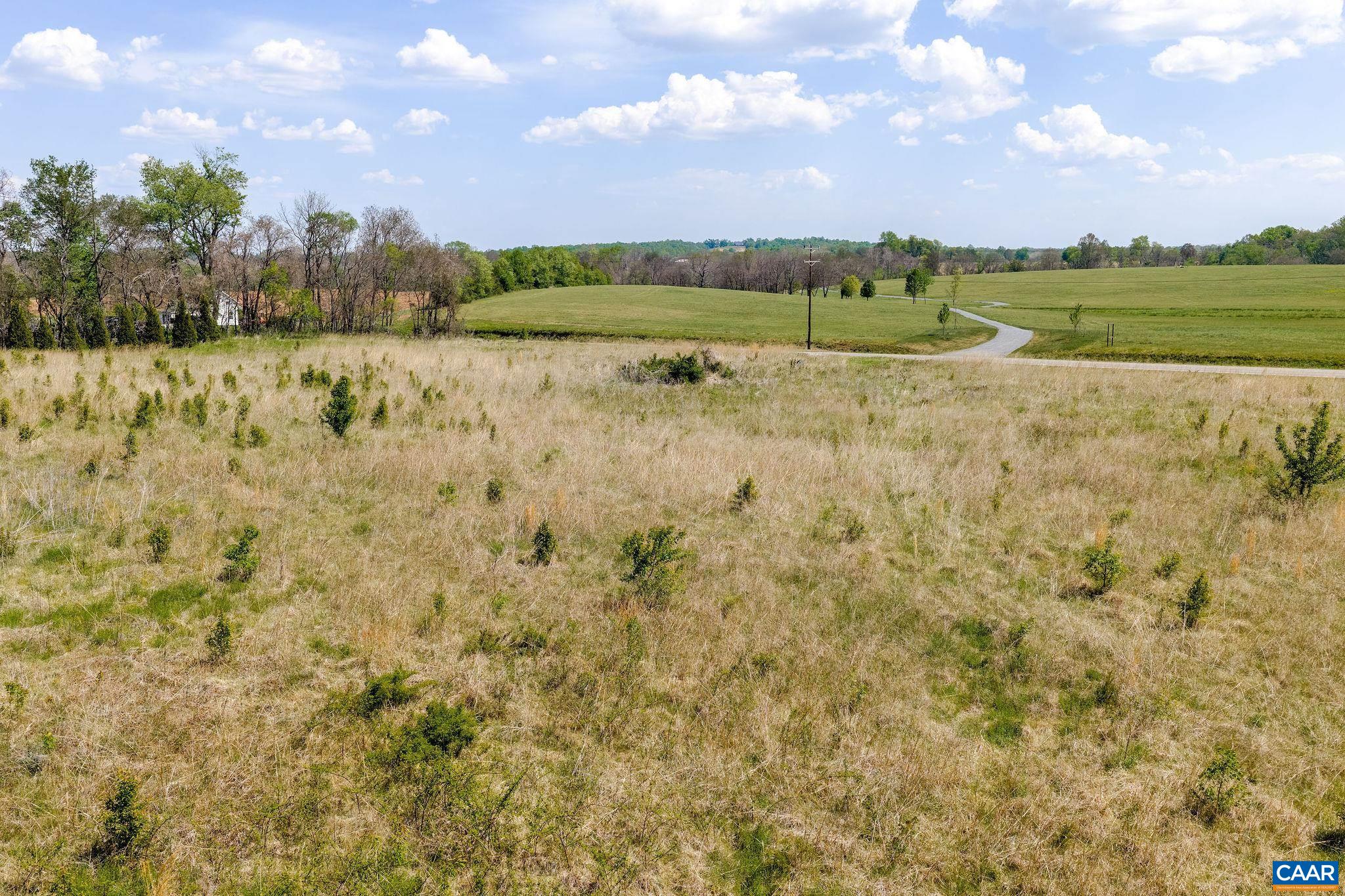Blue Ridge Turnpike Somerset, VA 22972 - Photo 4 of 5
