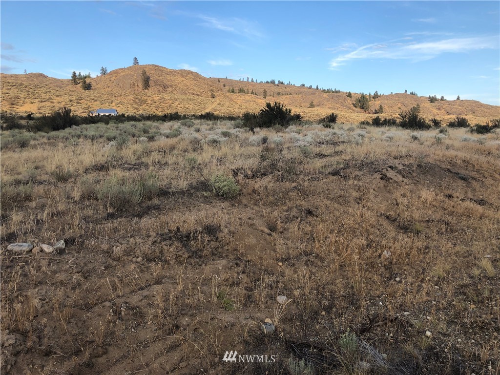 2-tbd Hubbard Road Riverside, WA 98849 - Photo 2 of 4