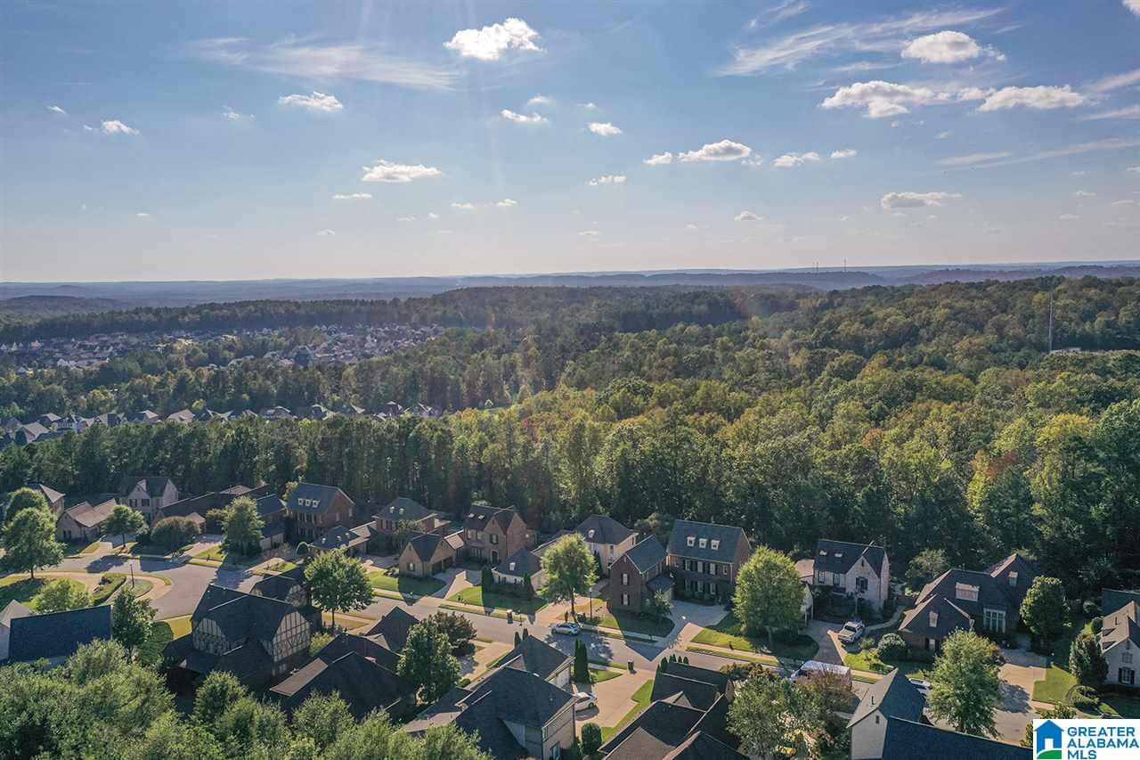 2350 Freestone Ridge Cove Birmingham, AL 35226 - Photo 5 of 49