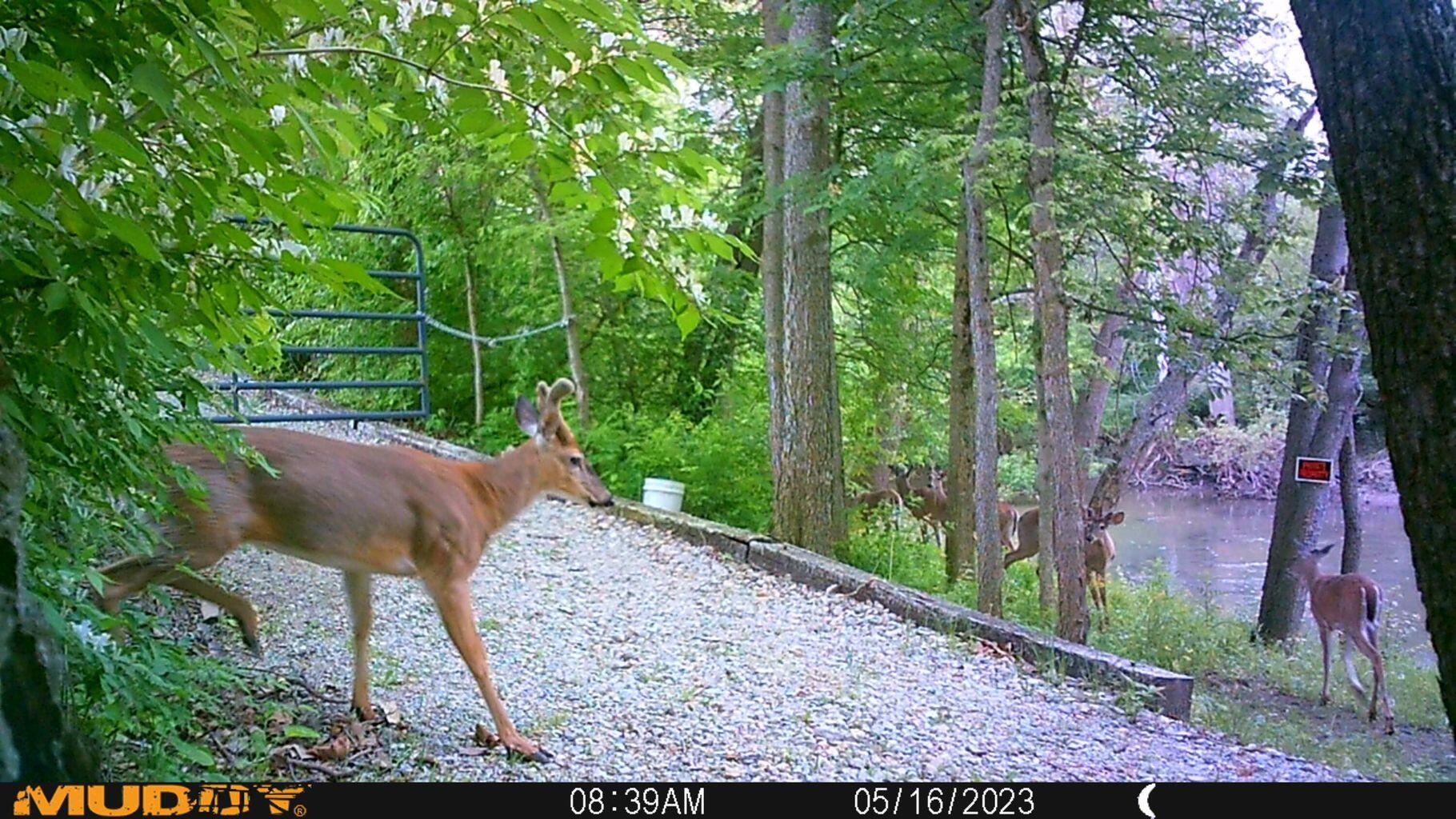 0 Fetters Road Bradford, OH 45308 - Photo 10 of 56