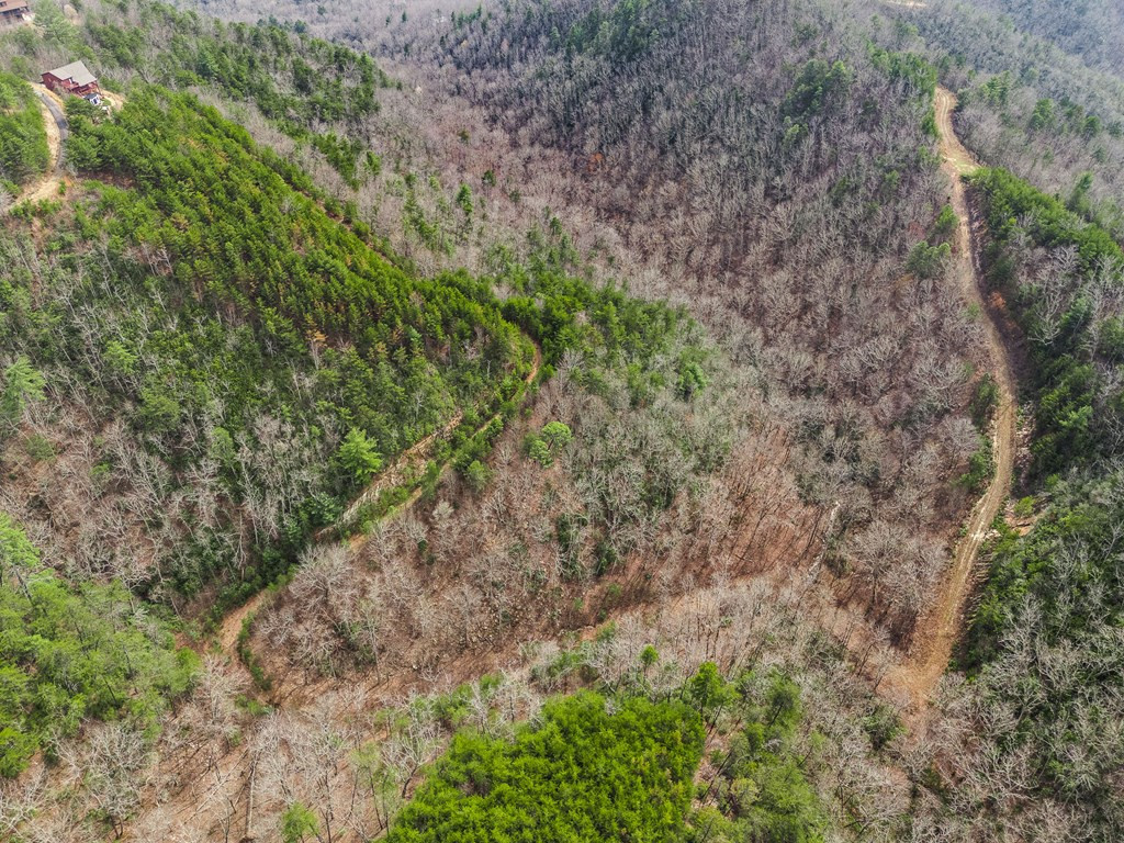 13-acres American Eagle Road Murphy, NC 28906 - Photo 9 of 17